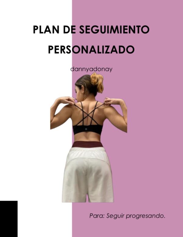 Plan de Seguimiento