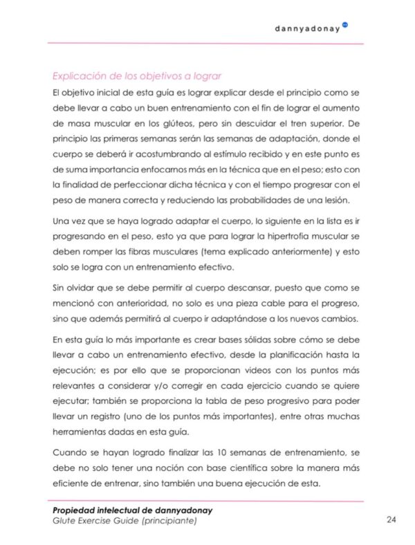 Glute Exercise Guide 2.0 (Principiante) - Image 2